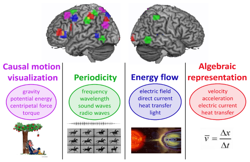 The four underlying dimensions of representation of 30 physics concepts