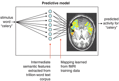 neurosemantics model