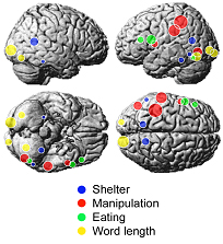 4 Factors