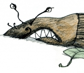 Billede